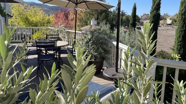 Eine Terrasse mit Gartenmöbeln, darunter ein Tisch und Stühle, unter einem großen Sonnenschirm.