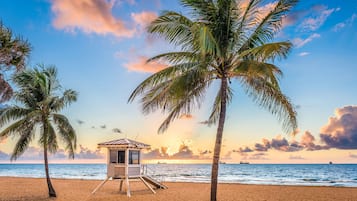 Pantai di sekitar, kursi berjemur, dan handuk pantai