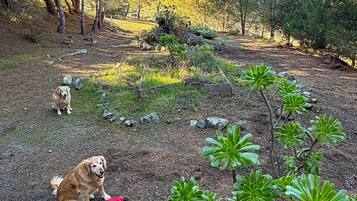 Enceinte de lâhĂ©bergement