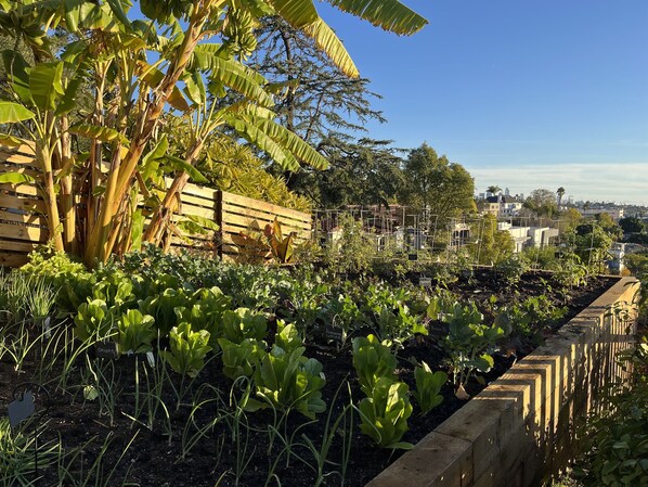 Terrain de l’hébergement 