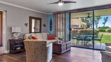 Smart TV, DVD player, books, stereo