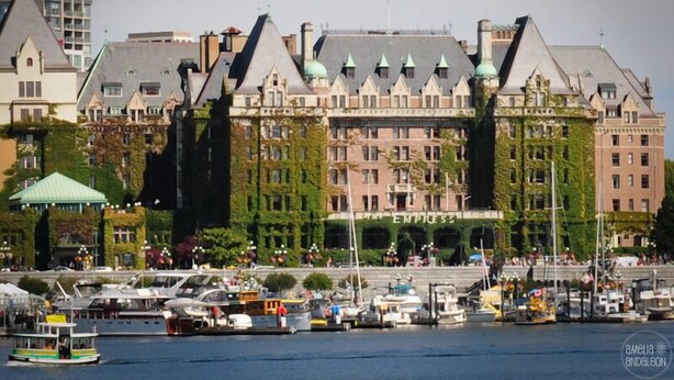 Ett hotell vid vattnet med en markant byggnad som har ett grönt tak och väggar täckta av murgröna.