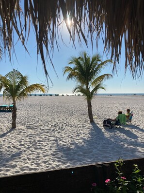 Uma praia com palmeiras e céu claro.