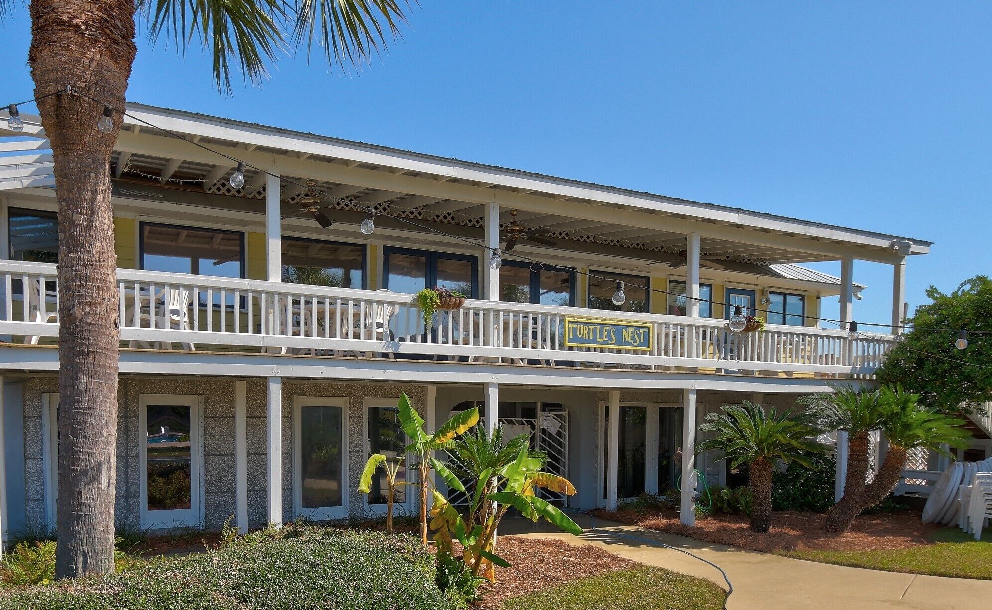 The Turtle Nest - gift shop, bike rentals, and more at Beach and Racquet Club