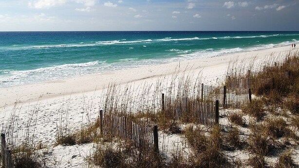 A beach with a wooden fence and sand dunes. - White Sandy Beaches, Gulf Front Complex, Heated Pool, Private Patio (Navarre)