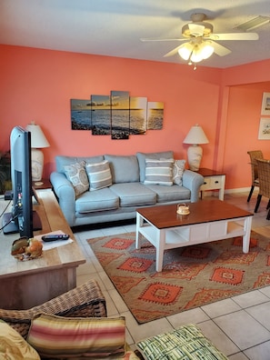 TV, DVD player, books, video library