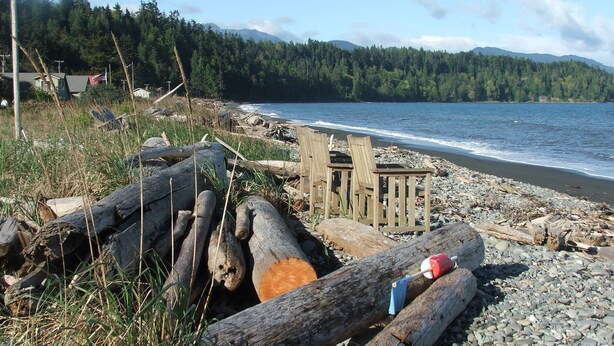 A beach with logs, a wooden structure, and a forested mountain backdrop. - Rare Strait of Juan de Fuca no-bank water front, near mouth of Elwha River. (port angeles)