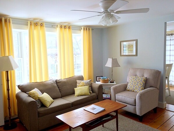 Smart TV, DVD player, books