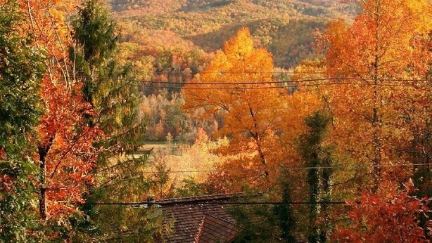 Ein Blick auf eine gebirgige Landschaft mit Herbstlaub, einem hölzernen Zaun und einem traditionellen Gebäude mit Ziegeldach.