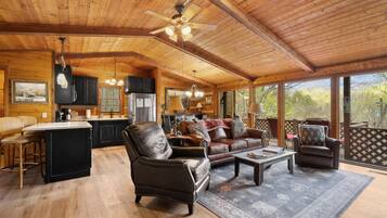 Smart TV, chimenea, reproductor de DVD y libros