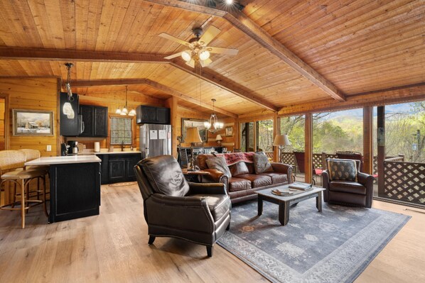 Älytelevisio, takka, DVD-soitin, kirjoja