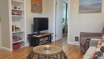 Smart TV, DVD player, books, video library