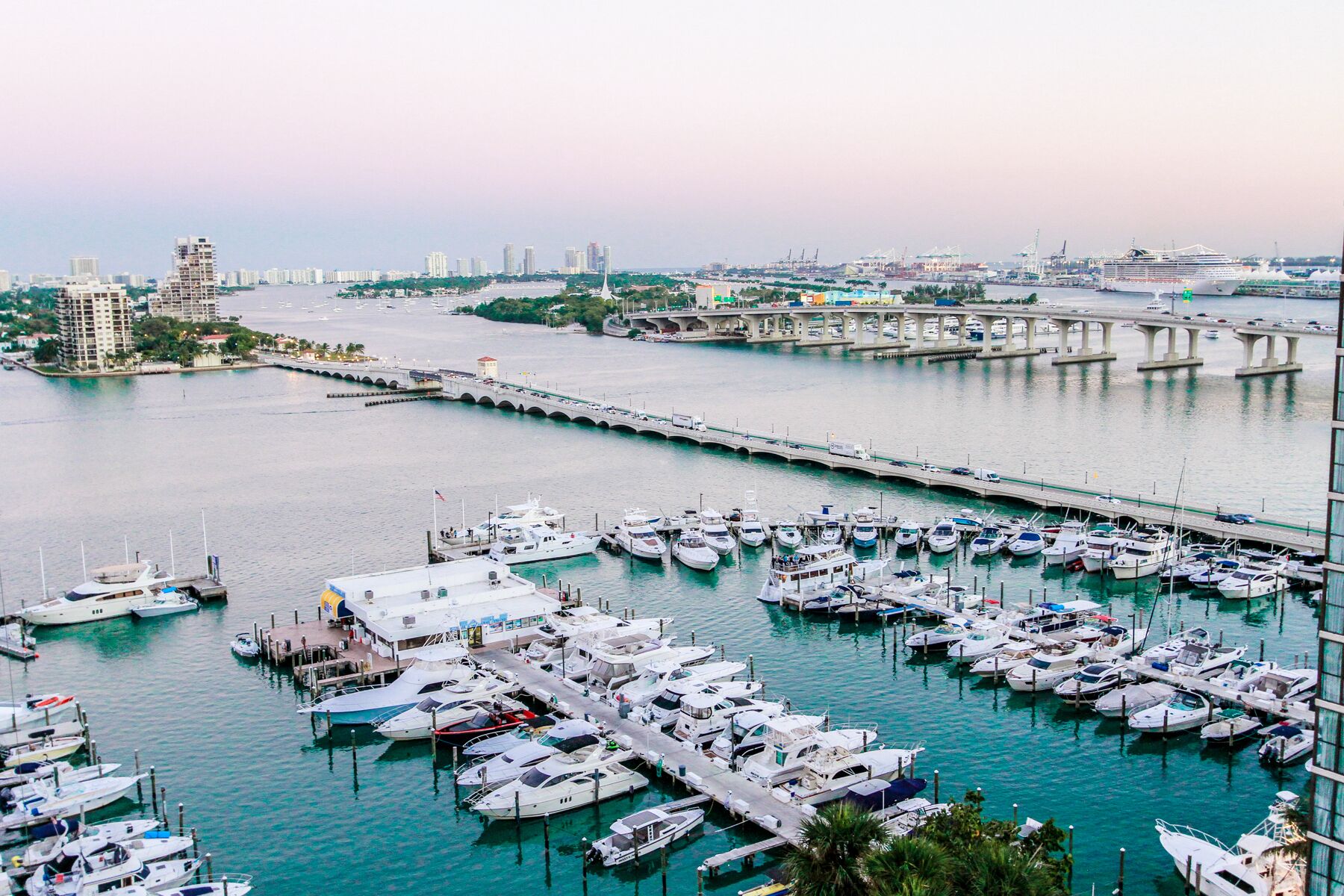 10 Best PetFriendly Rentals In Miami, Florida Updated 2024 Trip101
