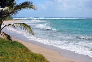 Chaises longues, serviettes de plage