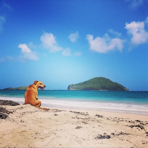 Playa
