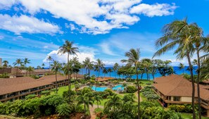 Relax by the resort's central pool surrounded by lush greenery and palm trees, with the ocean in view.
