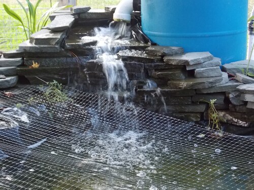  Thelma’s Dawn Getaway! A true No Drama Zone