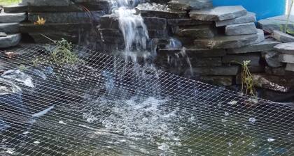 Thelma’s Dawn Getaway! A true No Drama Zone