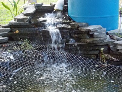  Thelma’s Dawn Getaway! A true No Drama Zone