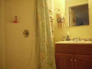 Dusche, Haartrockner, Handtücher, Seife