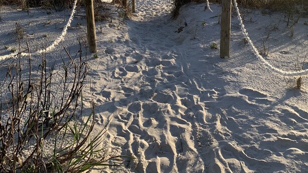 A sandy beach path with wooden posts and rope barriers, leading to the ocean. - Tradewind Mexico Beach 2/2 with balcony beach view (Mexico Beach)