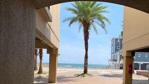 A paved walkway with a palm tree, a beach, and buildings in the background. - Tradewind Mexico Beach 2/2 with balcony beach view (Mexico Beach)