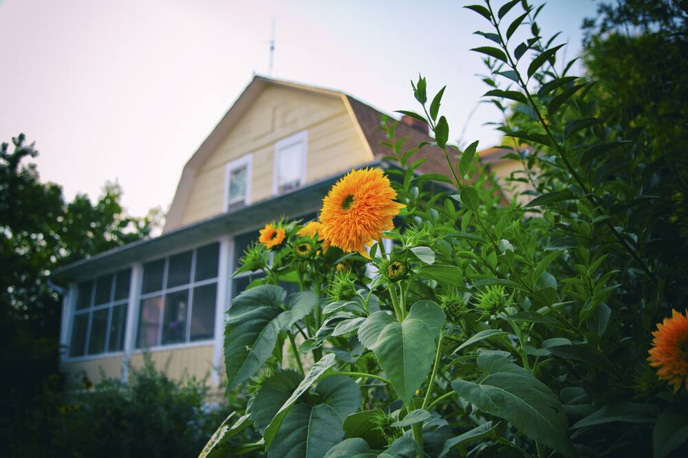 Idyllic, Fully Restored 1890's Farmhouse: max occupancy 6