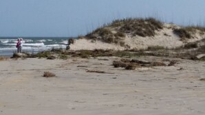 A sandy beach with dunes and a person standing near the water. - Tranquil tidal marsh setting (Seabrook Island)