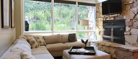 Smart TV, fireplace, video games, DVD player