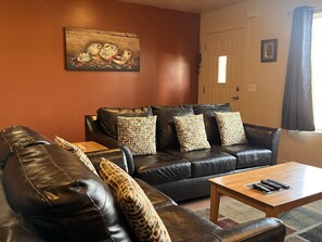 Smart TV, fireplace, DVD player, video library