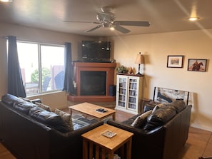 Smart TV, fireplace, DVD player, video library