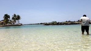Eine Strandansicht mit klarem, flachen Wasser, Palmen und einem Felsen.