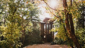 Eine Holzhütte mit Glasfront, umgeben von Bäumen und einem mit Laub bedeckten Boden.