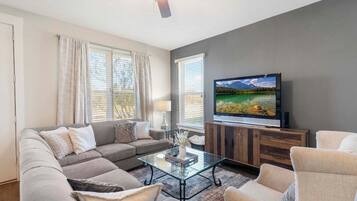 TV, fireplace, video games, DVD player