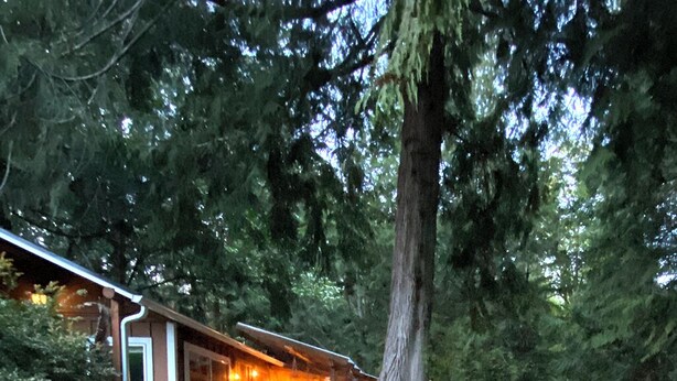 Eine Hütte mit Veranda, umgeben von Bäumen.