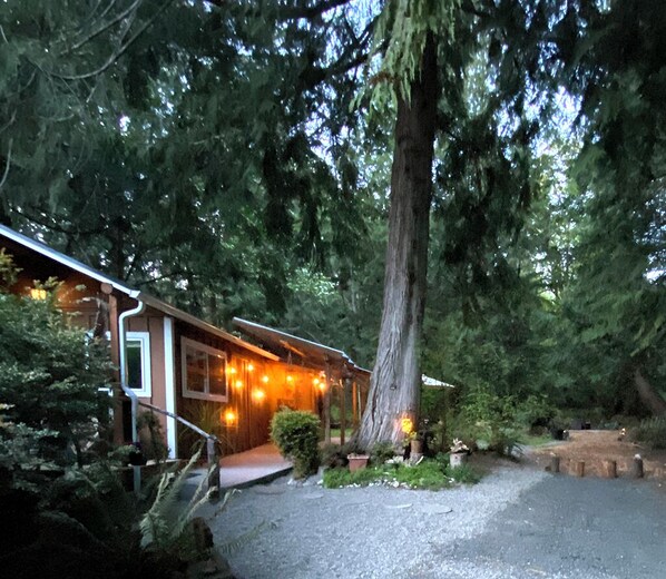 A cabin with a porch, surrounded by trees.