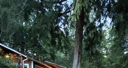 Cozy Forest Escape w/ Hot Tub • Private Trails & Gnome Walk • Near Beach