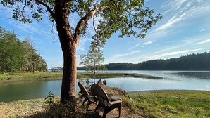 Eine Uferlandschaft mit einer Bank unter einem Baum, freier Blick auf den See und bewaldeter Hintergrund.
