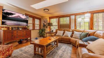 Smart TV, fireplace, video games, DVD player