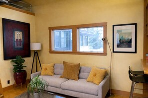 Smart TV, fireplace, books