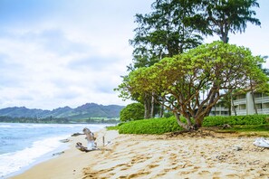 En la playa, camastros y toallas de playa