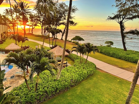Property grounds. Direct Ocean Front, Top Floor Studio Paradise