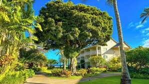 A lush garden with a large tree, a pathway, and a building with balconies. - Direct Ocean Front, Top Floor Studio Paradise (Kapaa)