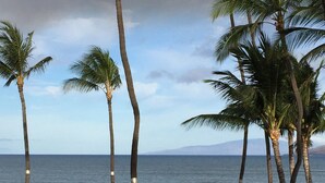 A scenic view of a golf course with a shuffleboard area, palm trees, and a view of the ocean. - Oceanfront 2BR_2BA Kihei Maui–Stunning Lanai Sunsets, Beach Front, Turtles! (Kihei)