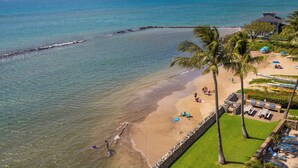 A beach with a stone wall, palm trees, and lounge chairs. - Oceanfront 2BR_2BA Kihei Maui–Stunning Lanai Sunsets, Beach Front, Turtles! (Kihei)