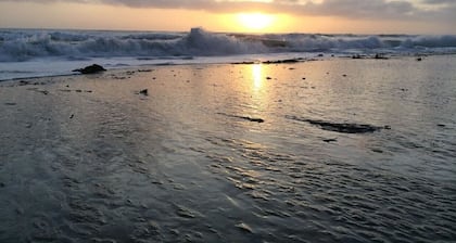 Ocean Front Beacons Beach, Amazing View, Surfboard