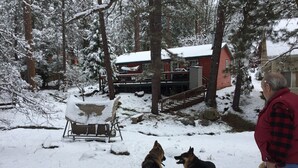 Un espace extérieur enneigé avec une terrasse en bois, un bâtiment rouge et deux chiens.
