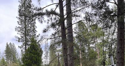 Charming Neuere Cabin In Wawona Schlafen 6 - in der NĂ€he Fluss / 2587 Chilaulna Lane