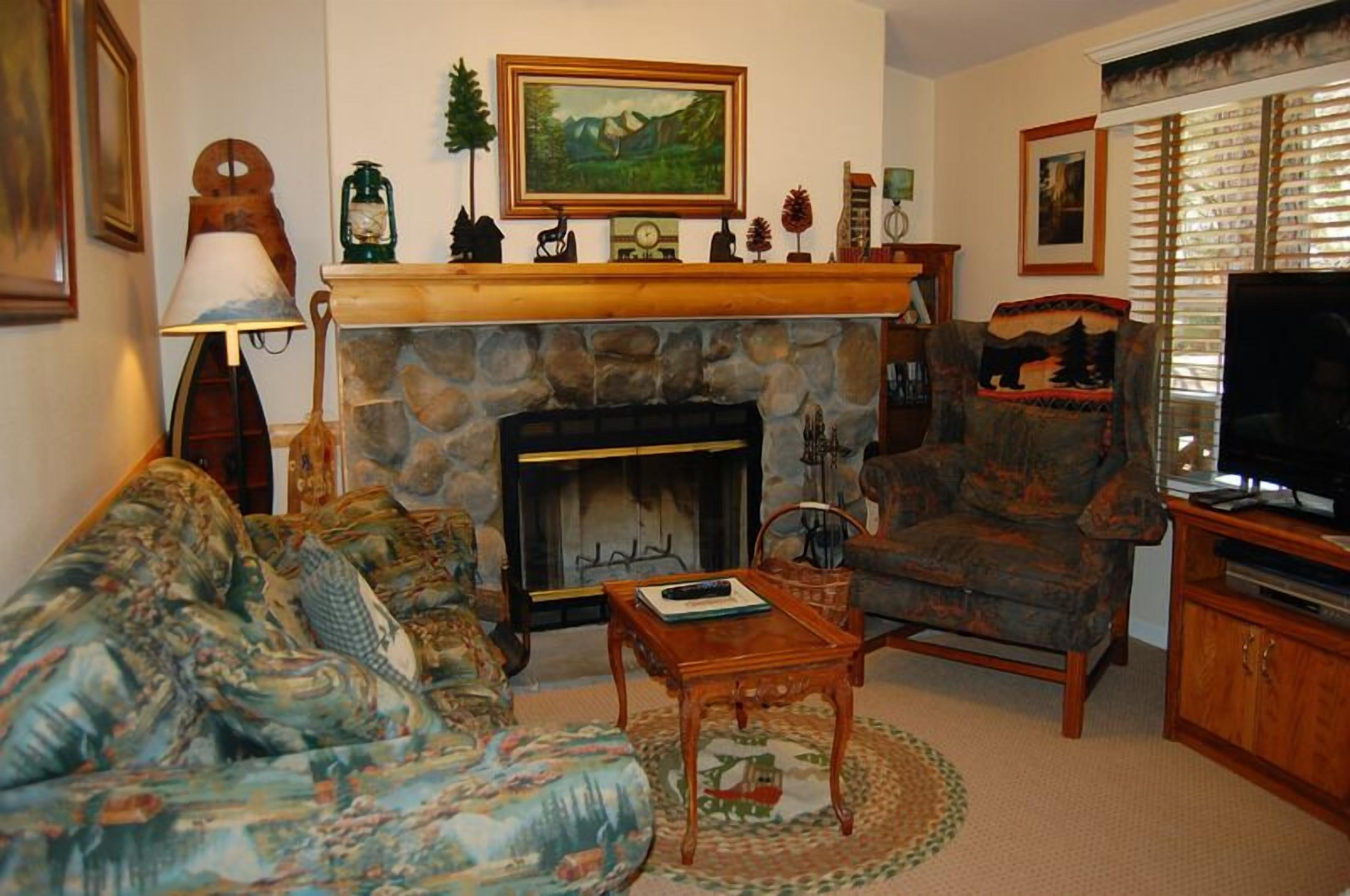 Smart TV, fireplace, books