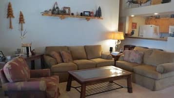 Smart TV, fireplace, DVD player, books